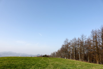 I visit a large field.