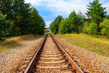 Obraz premium Railroad track through a green pine forest