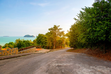 The walk in the park with tons of shady trees feel refreshed in the morning