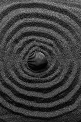 Fototapeta na wymiar Black shell on a black sand dunes background. Black design.