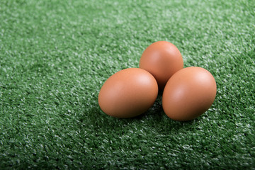 some eggs on the tray on blackboard background