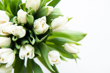 Fototapeta na wymiar Bouquet of flowers. White Tulip on white background. Beautiful flowers for valentines and wedding scene. Valentines and 8 March Mother Women's Day concept.