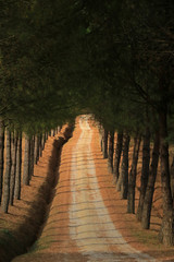 Landscape of Tuscany near Coneo area, Italy