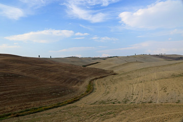 Typical landscape of the Val d’Orcia, Tuscany, Italy