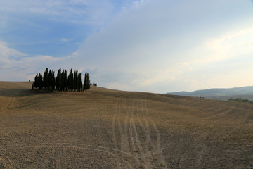 Obraz premium Typical landscape of the Val d’Orcia, Tuscany, Italy