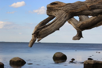 Ostsee, Gewässer, See Eastsee