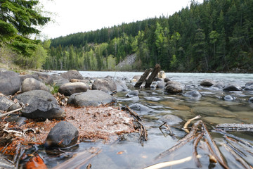 View of the rapids in the river. Wells Gray Provincial Park of British Columbia, Canada