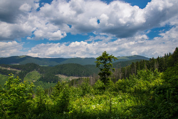 Carpathian mountains, Ukraine