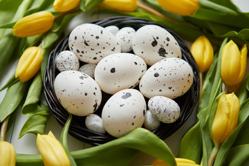 Beautiful yellow tulips with dotted quail and chicken eggs in nest on white