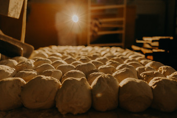 Fototapeta premium In bread bakery, food factory