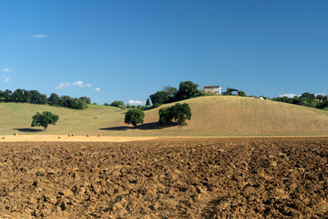 Rural landscape near Petriolo, Marches, Italy