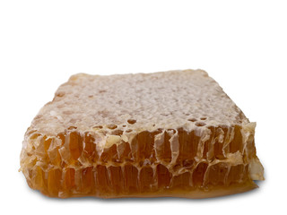 Fresh honeycombs on white background. (clipping path)