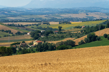 Rural landscape near Macerata, Marches