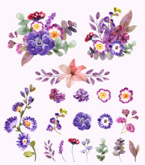 Fototapeta na wymiar set of flowers 