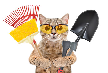 Portrait of a cat in protective glasses with garden tools isolated on white background