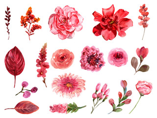 Set red floral