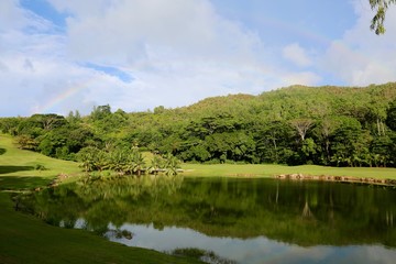 Fototapeta premium parcours de golf