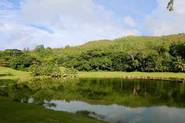 Fototapeta premium parcours de golf