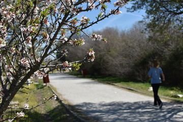 aire libre
