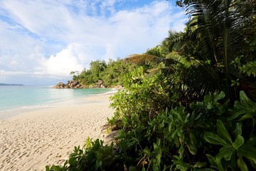 Fototapeta na wymiar plage de Praslin, Seychelles