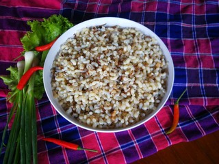 The  eggs  of  red  ants  on  white  bowl  in  Thailand.