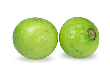 guava green fruit on white background