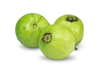 set of three fresh guava fruit on white background
