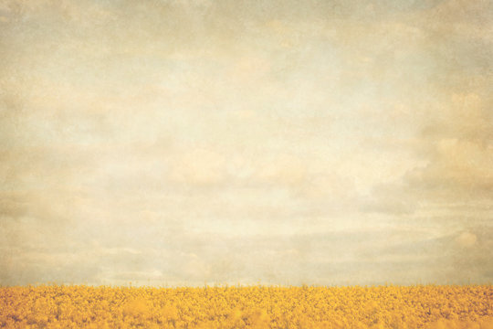 yellow fields vintage landscape