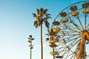 Ferris wheel over blue sky and palms silhouettes in amusement park.