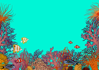 Fototapeta na wymiar Turquoise blue underwater scenery with corals, sea anemones and beautiful tropical fishes.