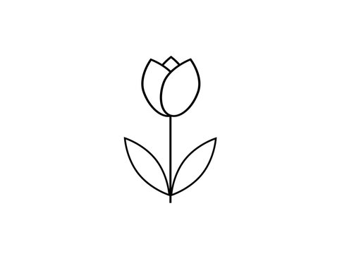 flat icon on white background tulip blooms. Web vector design.