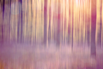 abstract forest