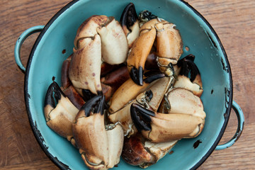 Raw crab claws in a blue colander