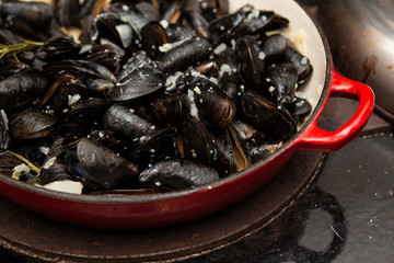 Cooked fresh mussels