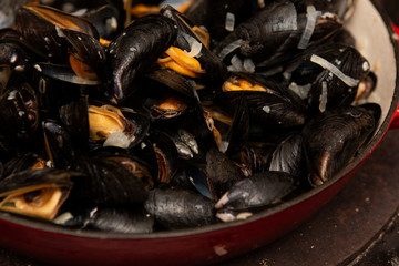 Cooked fresh mussels