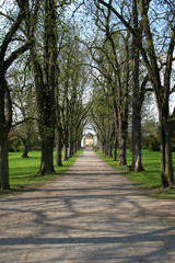 alley in the park