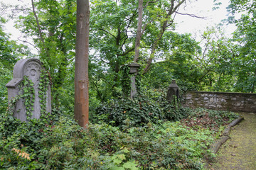  old graveyard overgrown by the greenery of nature