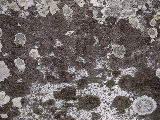 石のテクスチャー