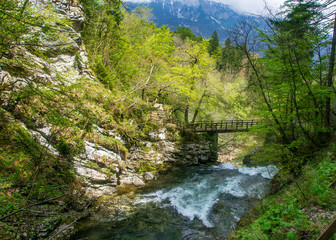 Fototapeta na wymiar Top view of Radovna river in the end of Vintgar gorge falling to Sum waterfall, Slovenia