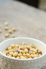 Soy bean in bowl on floor and copy space