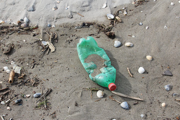 plastic bottle waste on beach