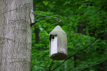  a nest box for the birds on the tree in the park