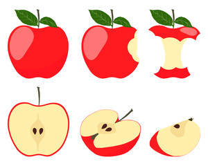 Vector illustration of red apple. Sliced apple isolated on white background