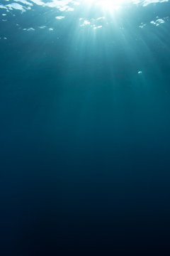 Underwater blue background and sunlight vertical photo 