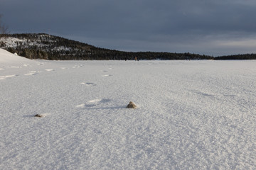 Stone and traces on the snow surface. Solitude in the Arctic circle