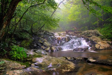 Waterfalls in white oak canyon in Shenandoah national park near Front Royal, Virginia on a rainy...