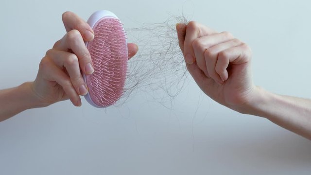 Many hair fall after combing in hairbrush on white background in woman hands. Hair loss problem, postpartum period, menstrual or endocrine disorder, hormonal disbalance, stress concept. Copy space.