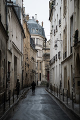 Fototapeta na wymiar Paris City