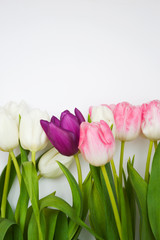 Bouquet of flowers. beautiful pink, white and purple tulips.