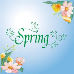Spring Flowers Background and Backdrop Template